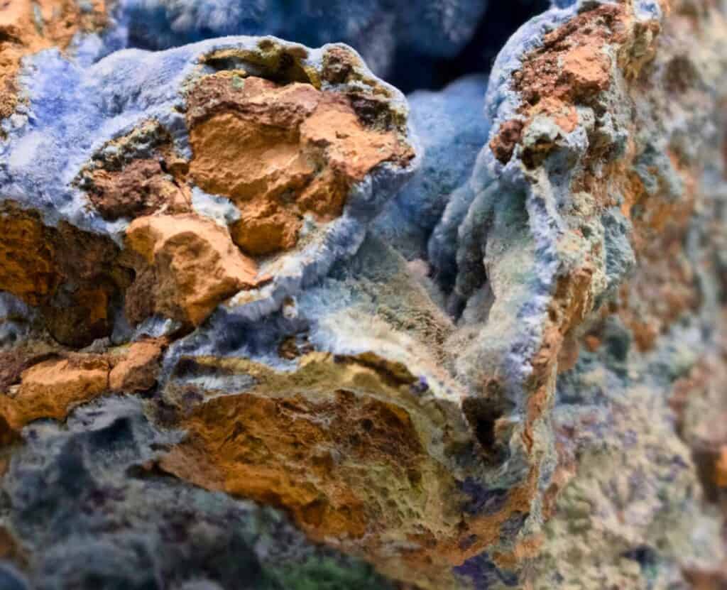 Macro photograph of a textured, colorful rock showing erosion and geological patterns.