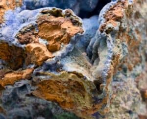 Macro photograph of a textured, colorful rock showing erosion and geological patterns.