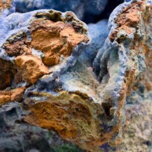 Macro photograph of a textured, colorful rock showing erosion and geological patterns.