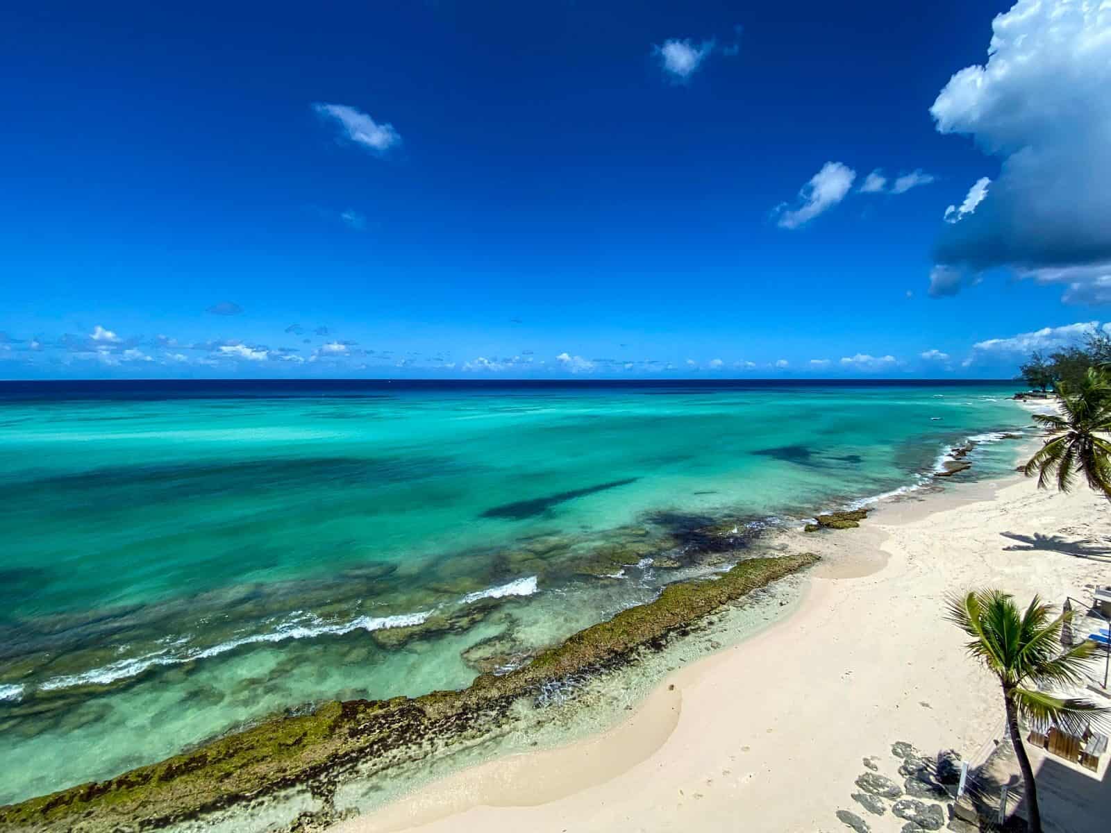 Barbados beach and reef landscape