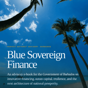 Tropical palm trees against a bright blue sky for Blue Sovereign Finance.