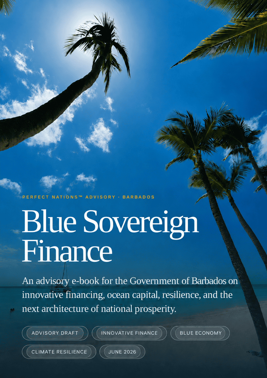 Tropical palm trees against a bright blue sky for Blue Sovereign Finance.